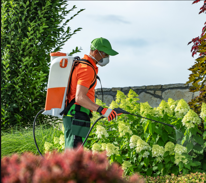 Wavelength Structure